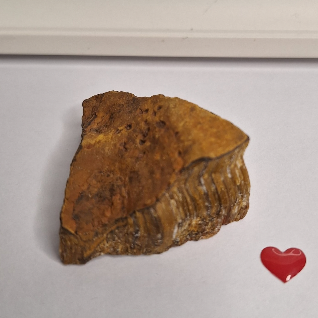 Raw Tiger’s Eye – South Africa