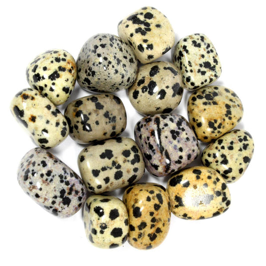 Dalmatian Jasper Tumblestone