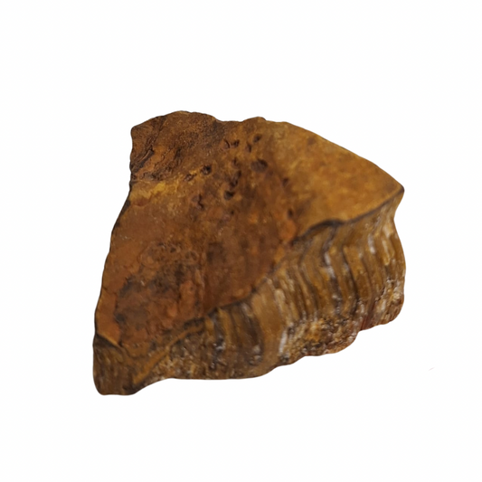 Raw Tiger’s Eye – South Africa