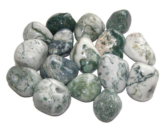 Tree Agate Tumblestones